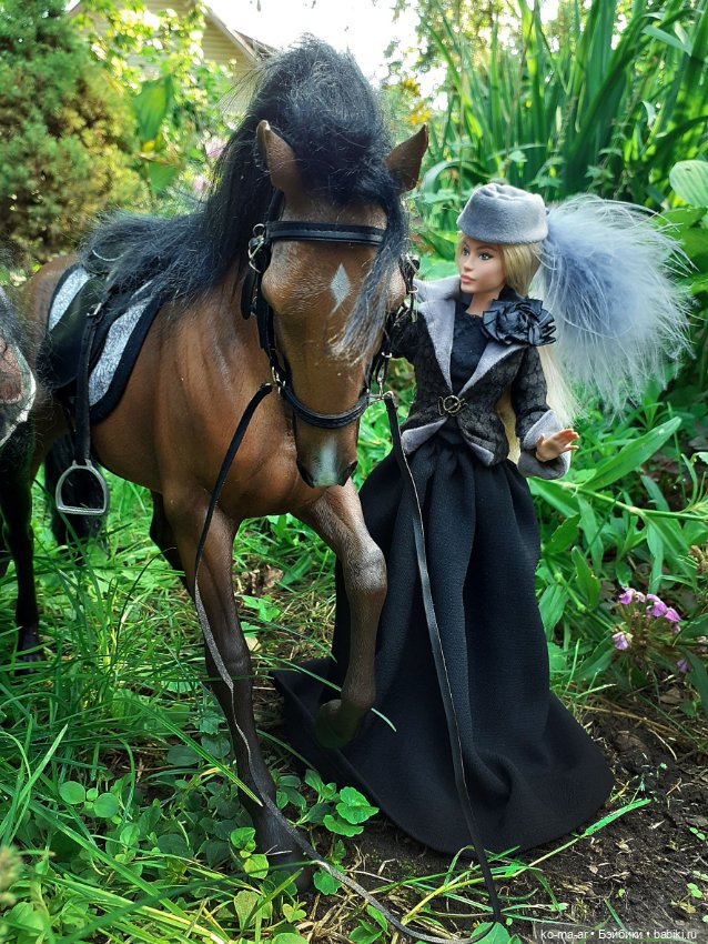 Лошадки — В мире животных: смешные фото питомцев и зверей