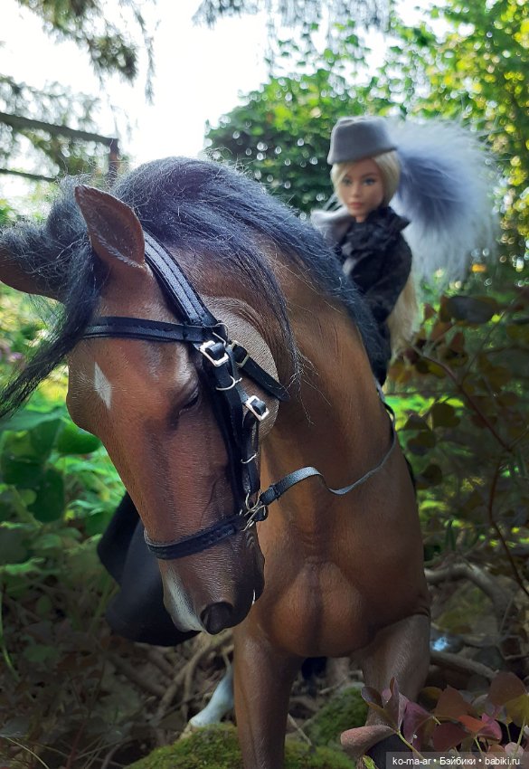 Лошадки — В мире животных: смешные фото питомцев и зверей