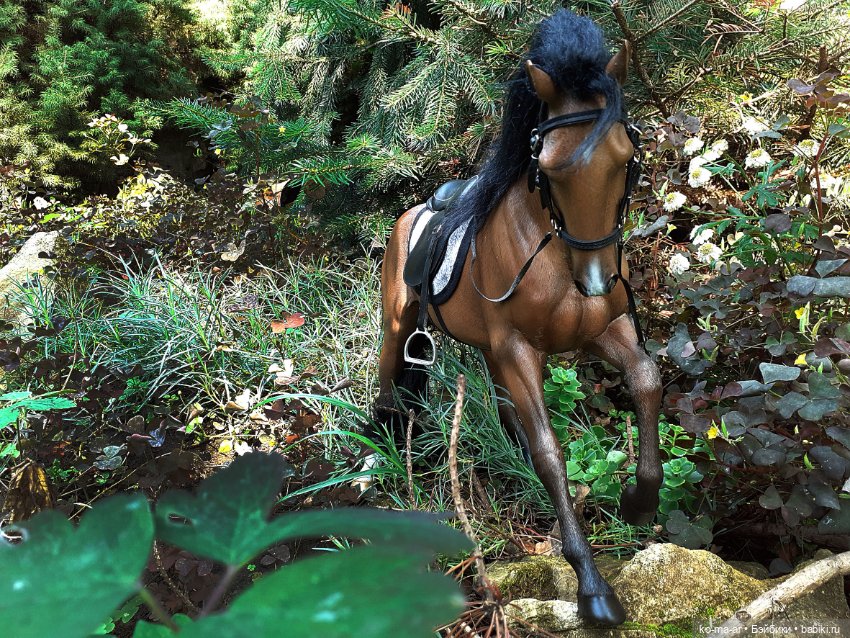 Лошадки — В мире животных: смешные фото питомцев и зверей (фото 3)