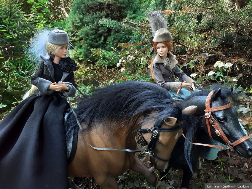 Лошадки — В мире животных: смешные фото питомцев и зверей