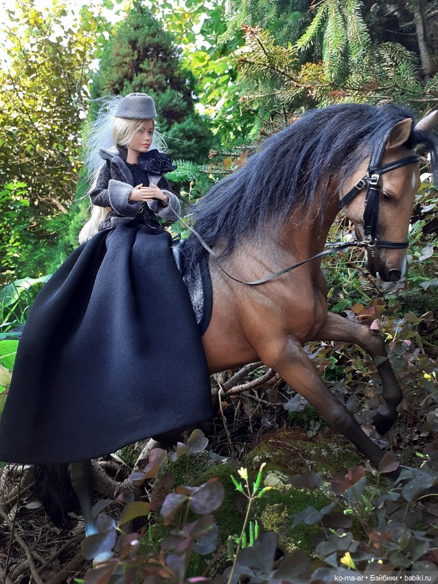 Лошадки — В мире животных: смешные фото питомцев и зверей