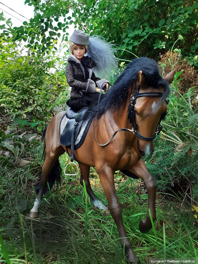 Лошадки — В мире животных: смешные фото питомцев и зверей