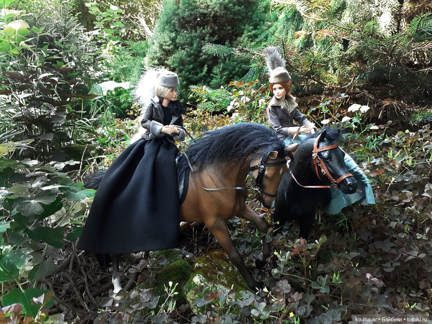 Лошадки — В мире животных: смешные фото питомцев и зверей