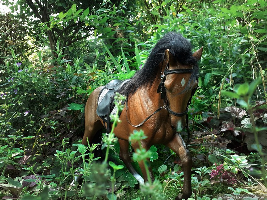 Лошадки — В мире животных: смешные фото питомцев и зверей (фото 8)