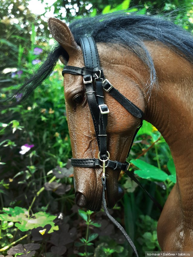 Лошадки — В мире животных: смешные фото питомцев и зверей (фото 10)