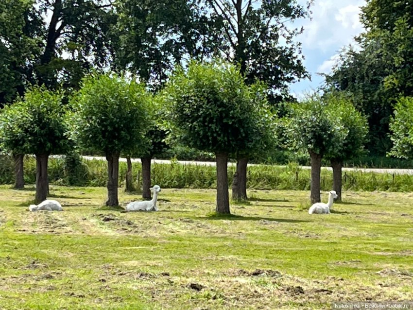 Музыкальная История 135 — Туризм и путешествия: фотоотчеты из поездок