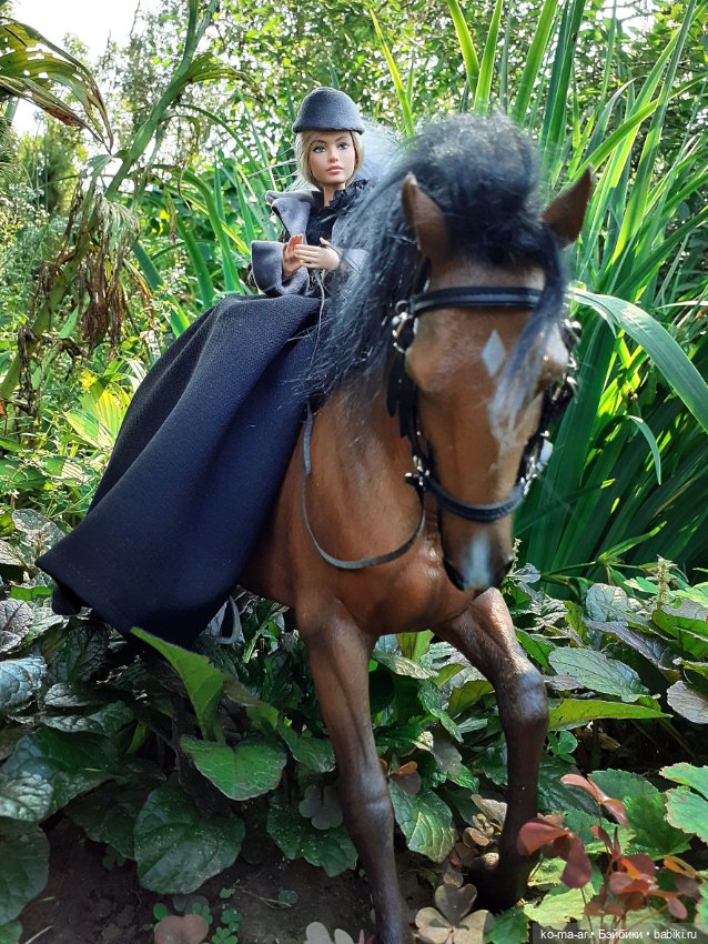 Лошадки — В мире животных: смешные фото питомцев и зверей