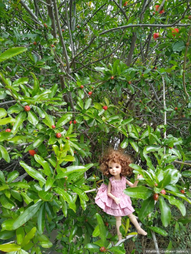 Прогулки по Крыму. Древний Сурож