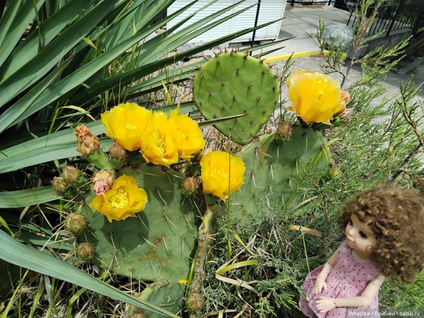 Прогулки по Крыму. Древний Сурож