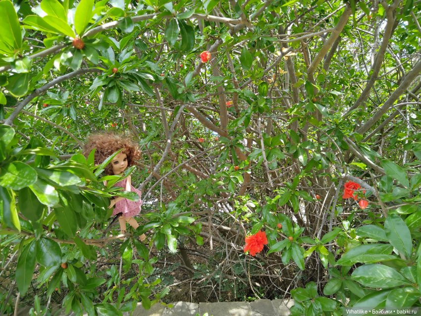 Прогулки по Крыму. Древний Сурож