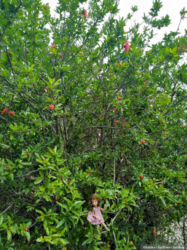 Прогулки по Крыму. Древний Сурож