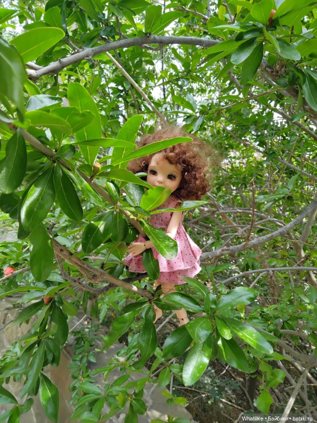 Прогулки по Крыму. Древний Сурож