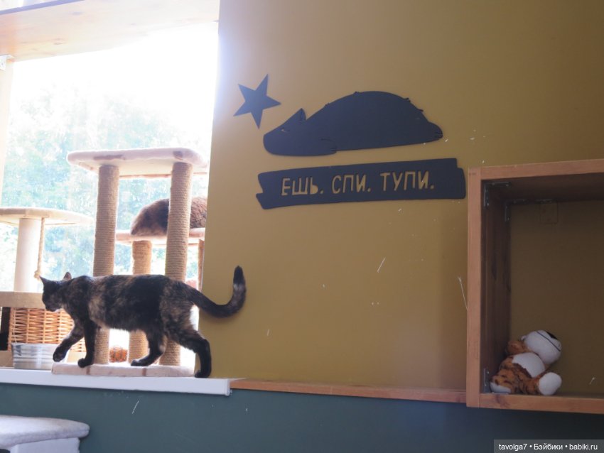 Замоскворечье середина лета