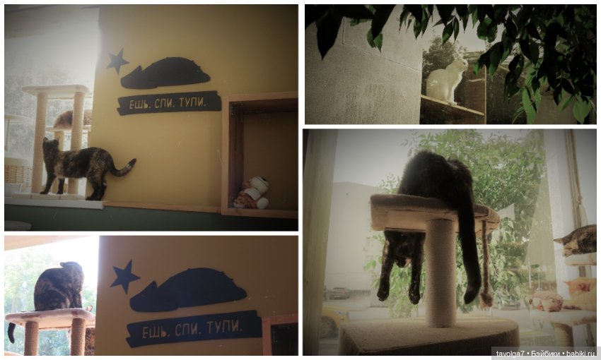 Замоскворечье середина лета