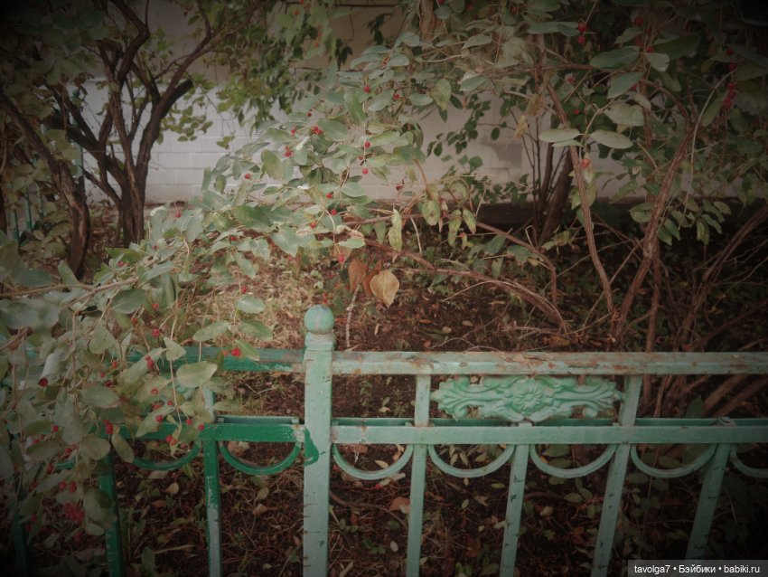 Замоскворечье середина лета