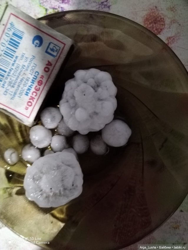 Прекрасные соцветия или прогулки с разными куклами