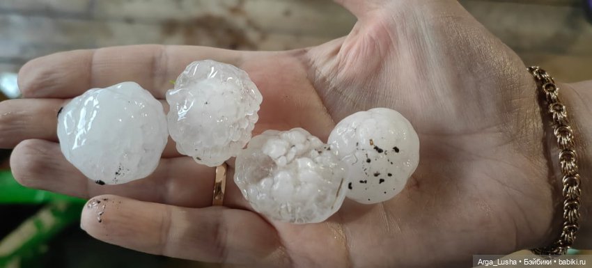 Прекрасные соцветия или прогулки с разными куклами