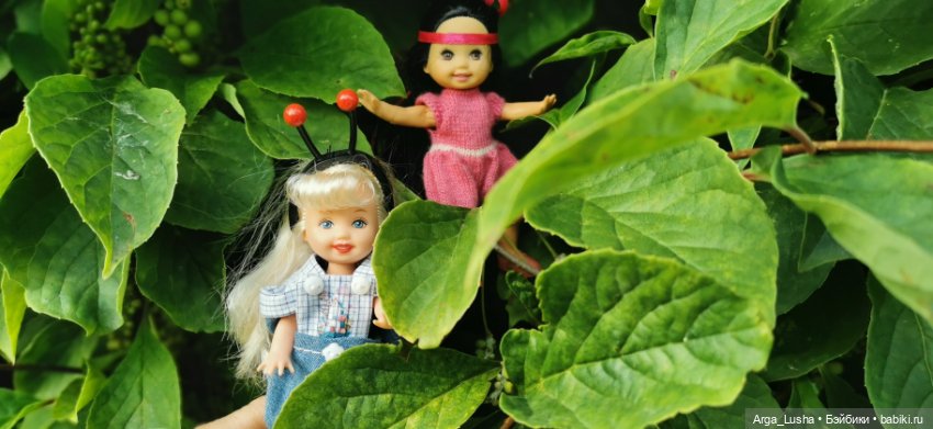Прекрасные соцветия или прогулки с разными куклами