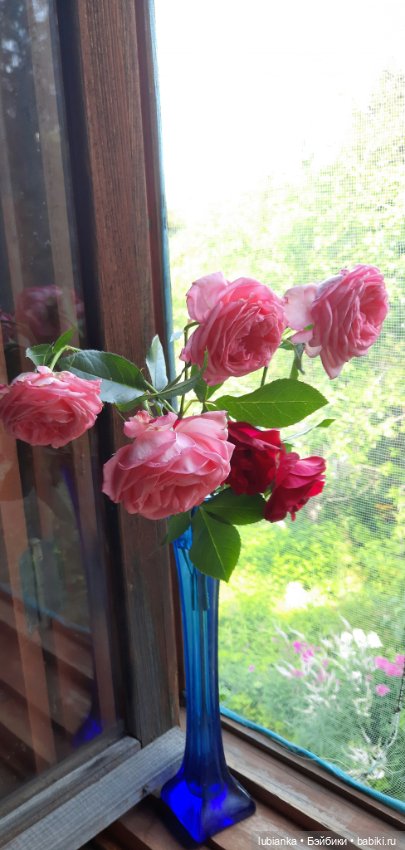 Ещё один любимый дуэтик😍💞