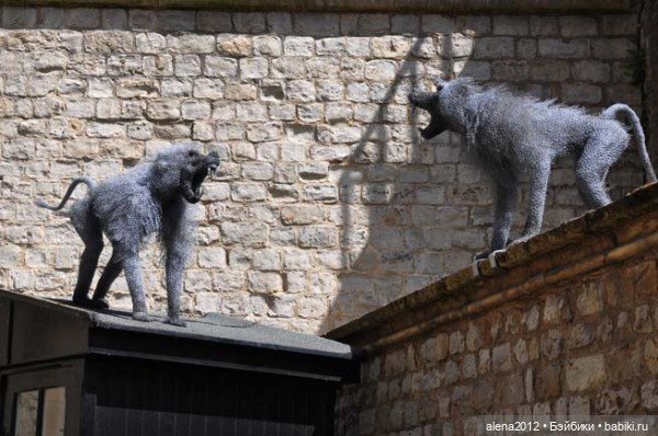 Необычные скульптуры из проволоки Kendra Haste