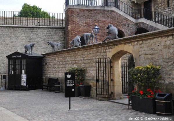 Необычные скульптуры из проволоки Kendra Haste