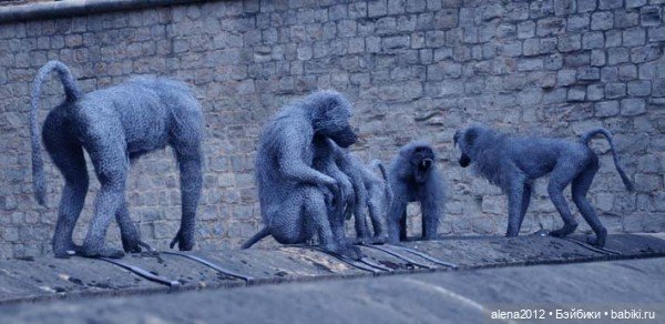 Необычные скульптуры из проволоки Kendra Haste