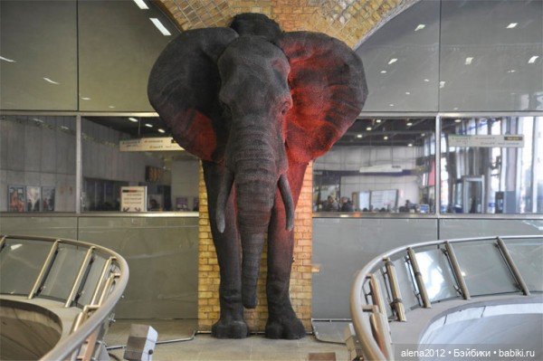 Необычные скульптуры из проволоки Kendra Haste