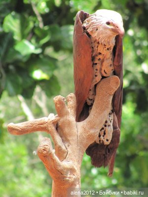 Шедевры из проволоки и коряг от художника Ивана Ловатта