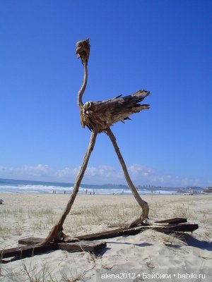 Шедевры из проволоки и коряг от художника Ивана Ловатта