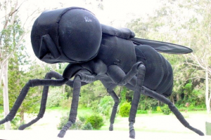 Шедевры из проволоки и коряг от художника Ивана Ловатта (фото 4)