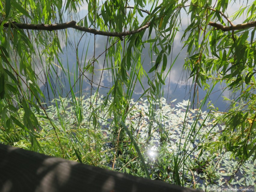 Классная компания в летний денёк