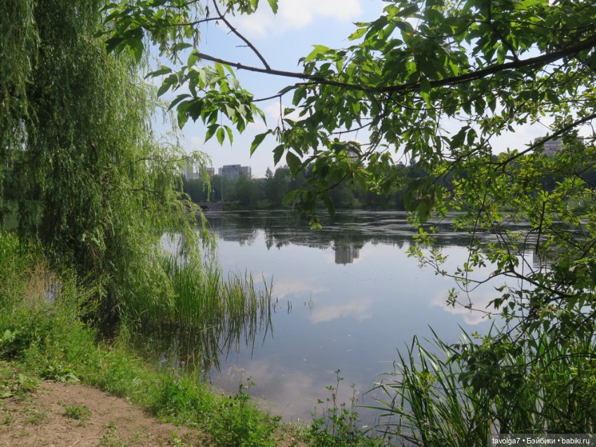 Классная компания в летний денёк (фото 6)