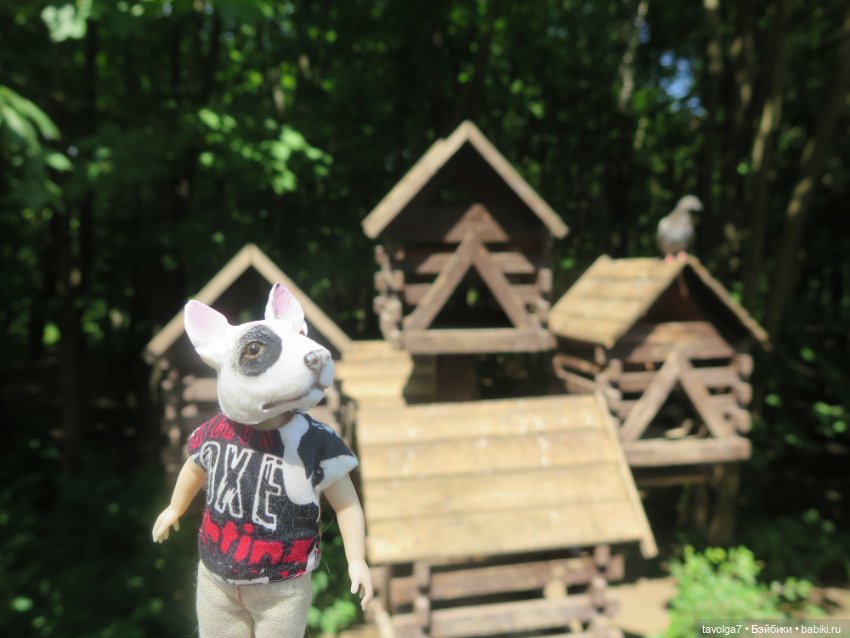 Классная компания в летний денёк (фото 5)