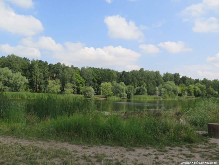 Классная компания в летний денёк