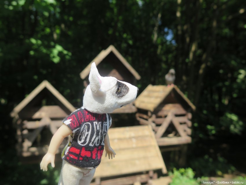 Классная компания в летний денёк (фото 4)