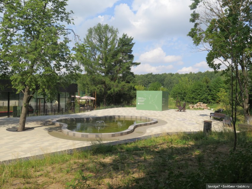 Классная компания в летний денёк