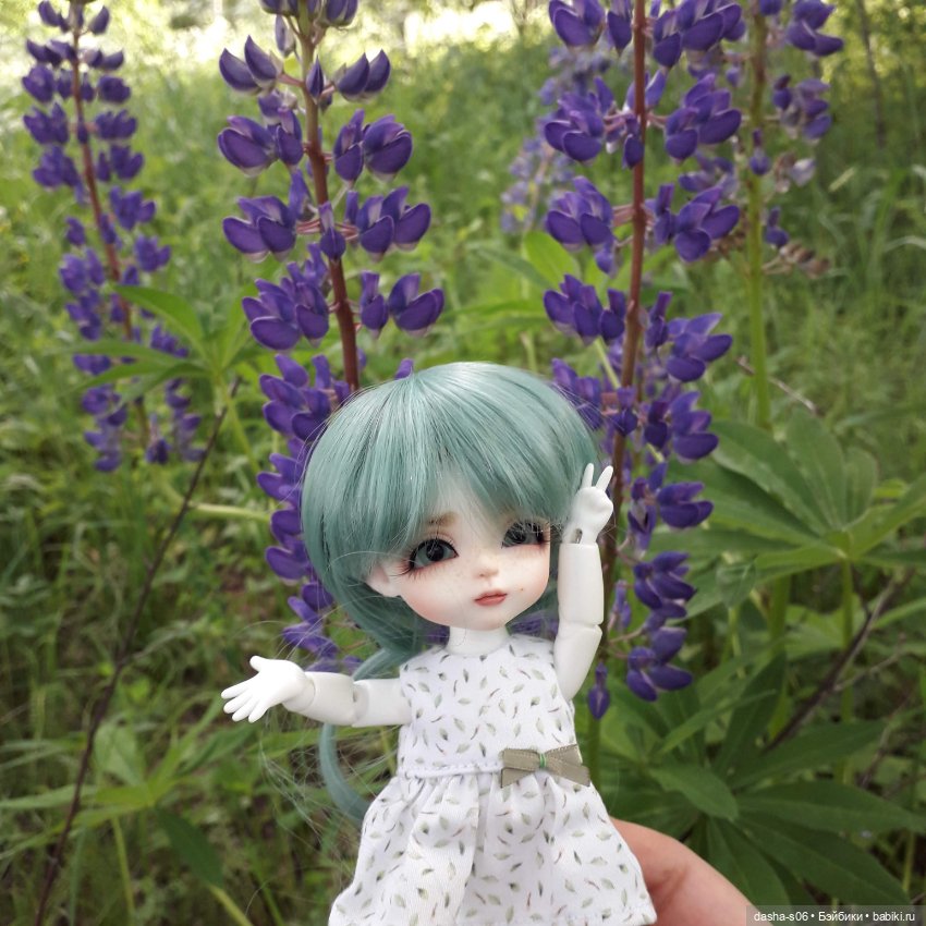 Алиса в люпинах — Куклы Latidoll (Лати): BJD (БЖД) (фото 5)