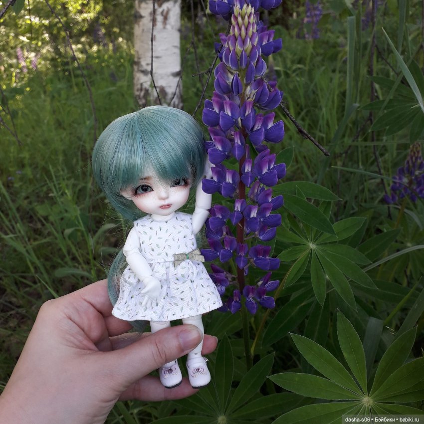 Алиса в люпинах — Куклы Latidoll (Лати): BJD (БЖД)