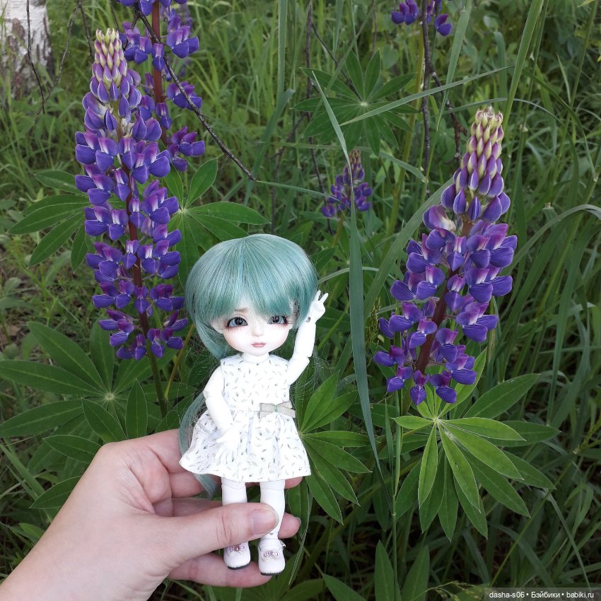 Алиса в люпинах — Куклы Latidoll (Лати): BJD (БЖД) (фото 3)