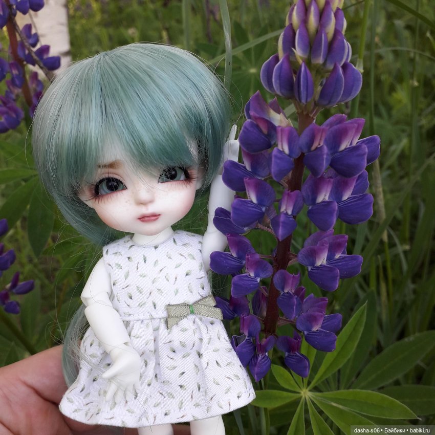 Алиса в люпинах — Куклы Latidoll (Лати): BJD (БЖД) (фото 2)