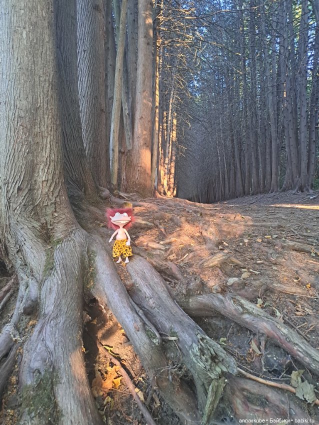 Свет очей моих - Донни — Игровые куклы разных производителей (Разное): редкие бренды (фото 6)