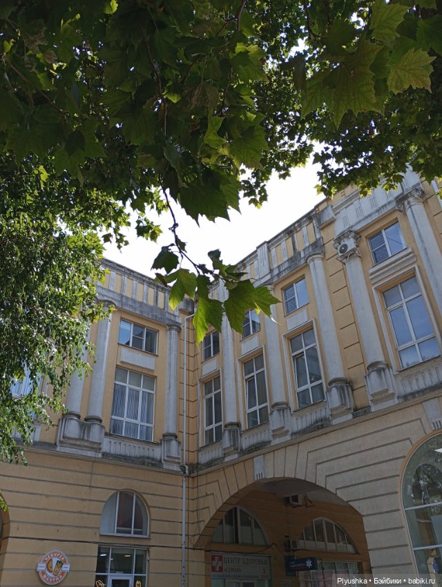 Южное путешествие Камелии