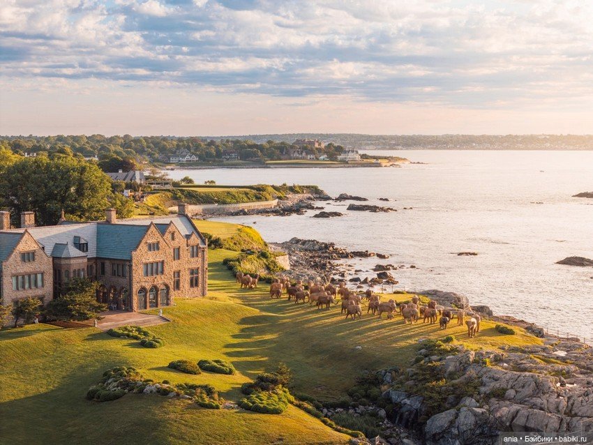 Миграция слонов... деревянных (фото 5)