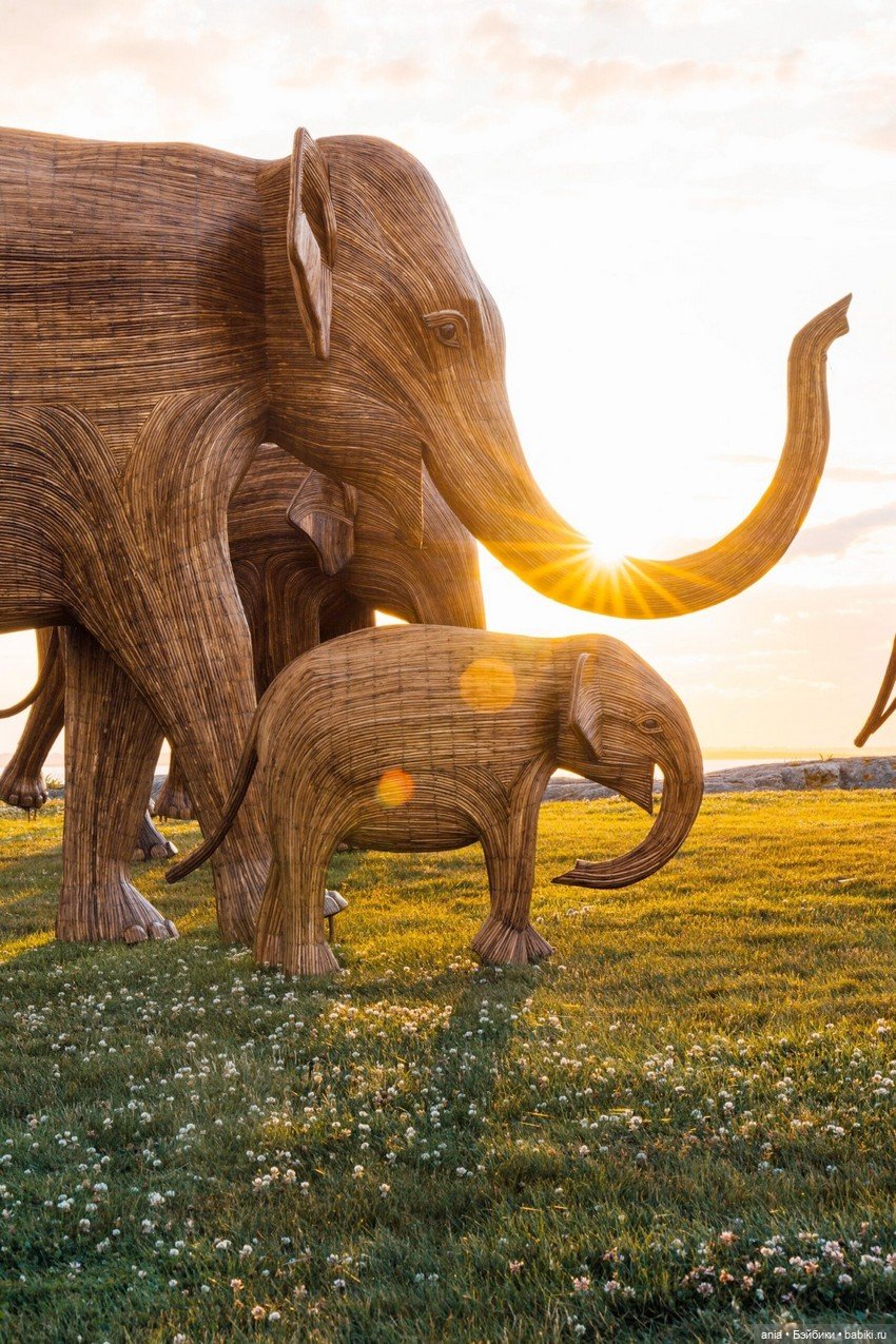 Миграция слонов... деревянных (фото 2)