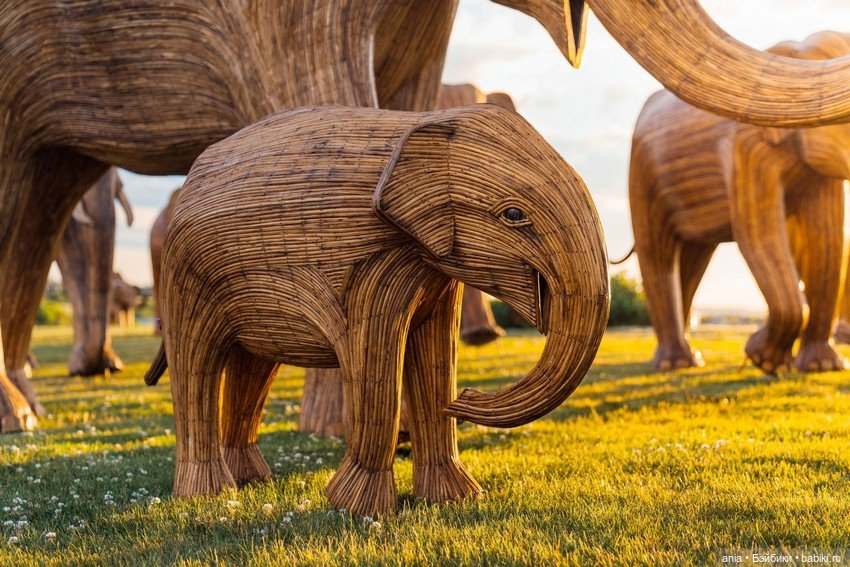 Миграция слонов... деревянных (фото 4)
