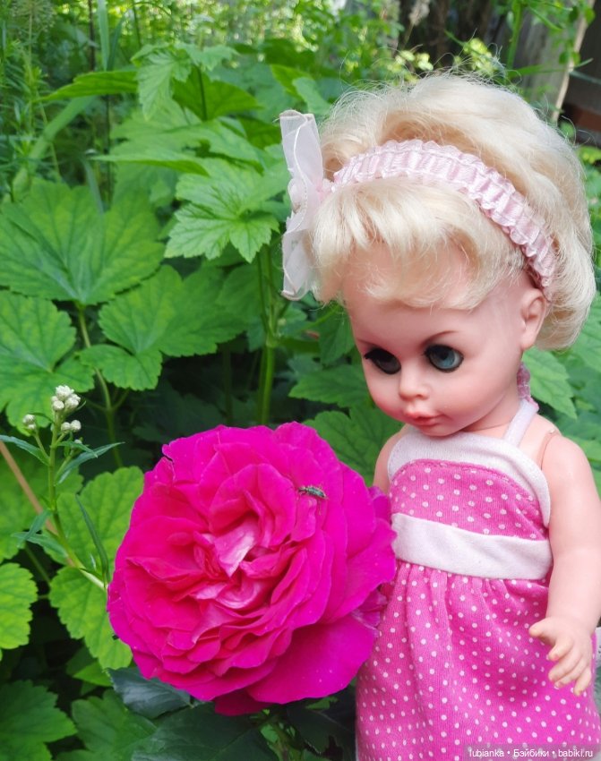 Розово-летняя Изольда — Винтажные куклы ГДР (Немки): Бигги