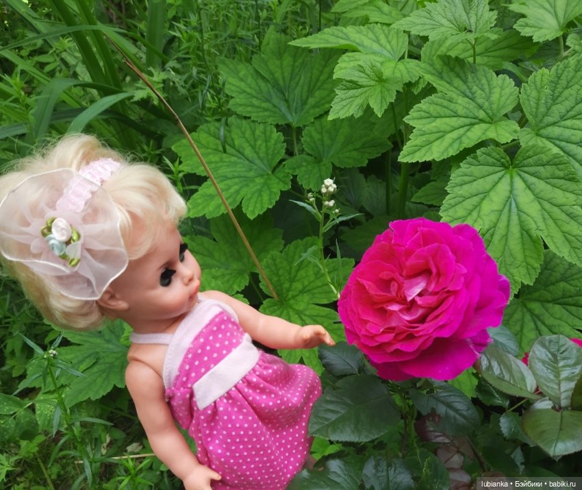 Розово-летняя Изольда — Винтажные куклы ГДР (Немки): Бигги