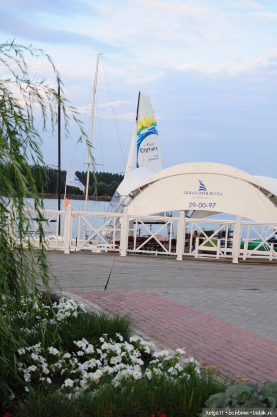 Вечерняя прогулка с Pututu (фото 5)