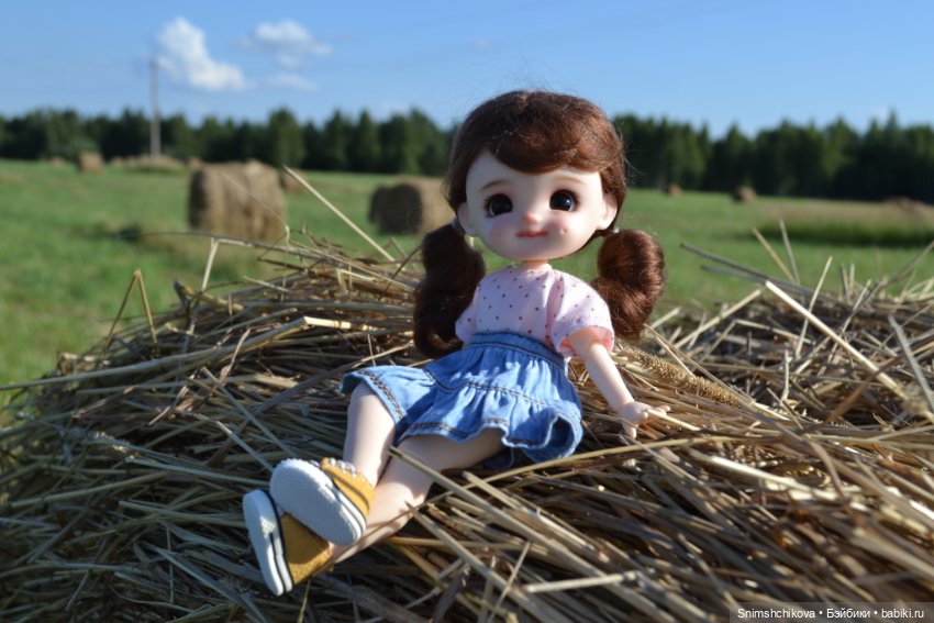 Запах свежескошенной травы (фото 2)