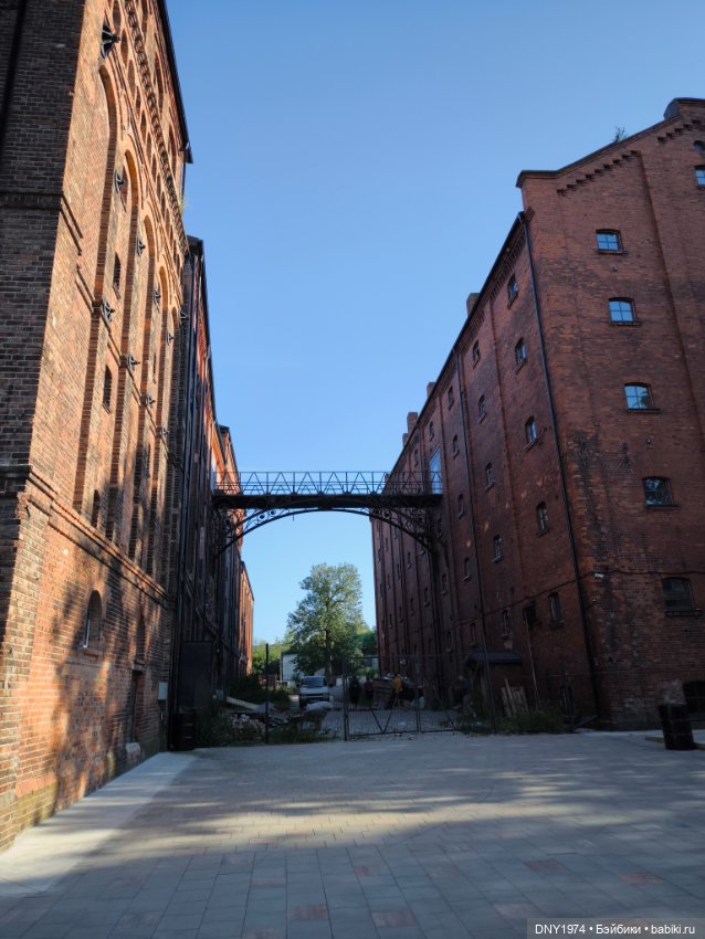 День на пивзаводе — Домашние фото авторских игрушек: Тедди